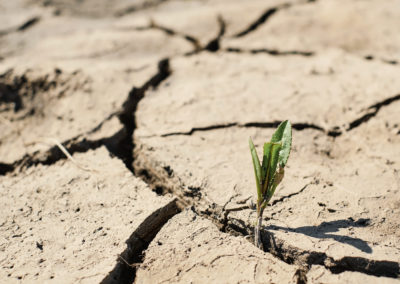 Alerte sécheresse renforcée – Arrêté préfectoral du 16/07/2024