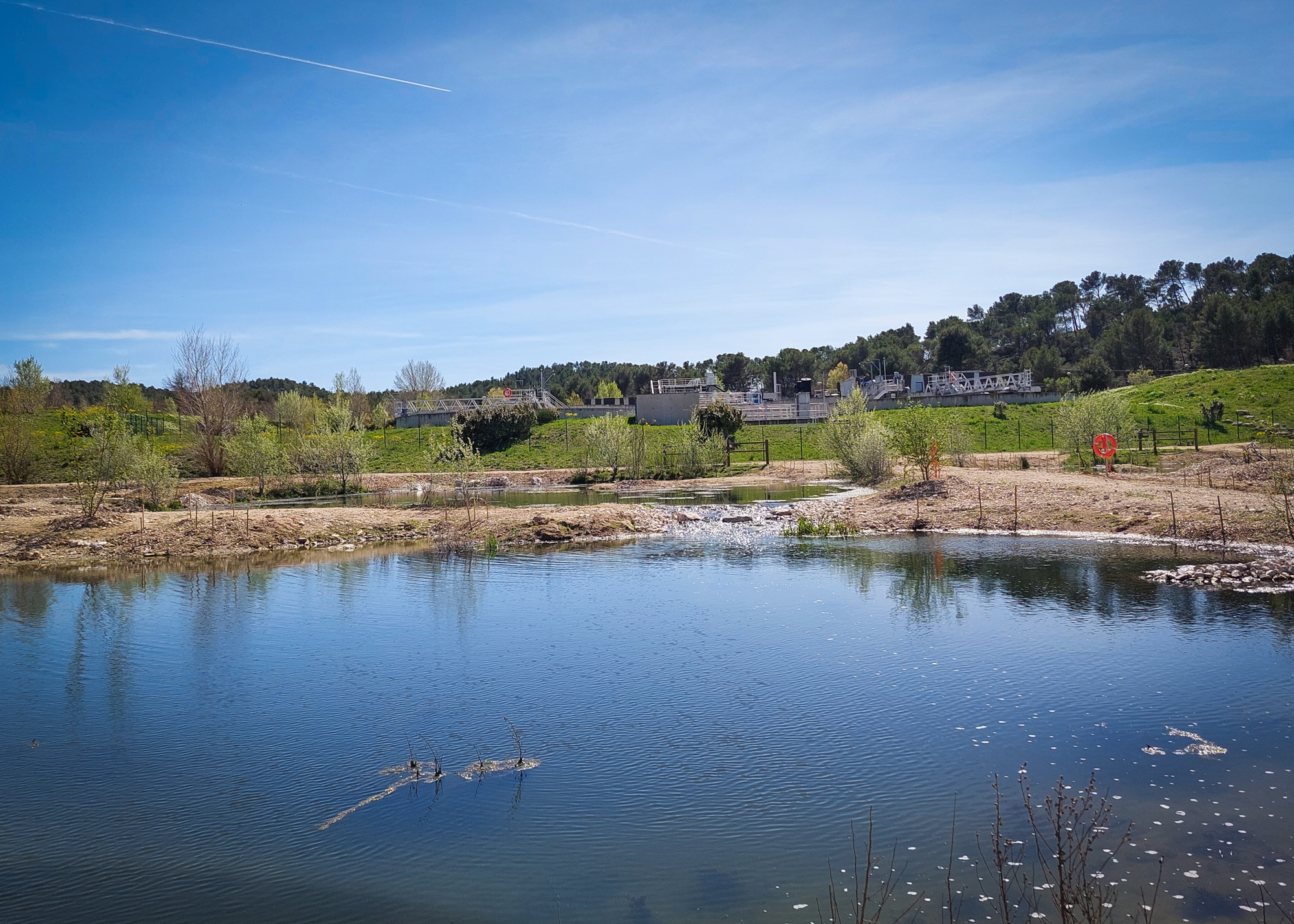 Zone de rejet végétalisée de la Station d'épuration Aix Ouest, mars 2024