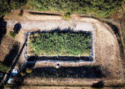 Lits macrophytes : solution naturelle d’assainissement pour petites communes